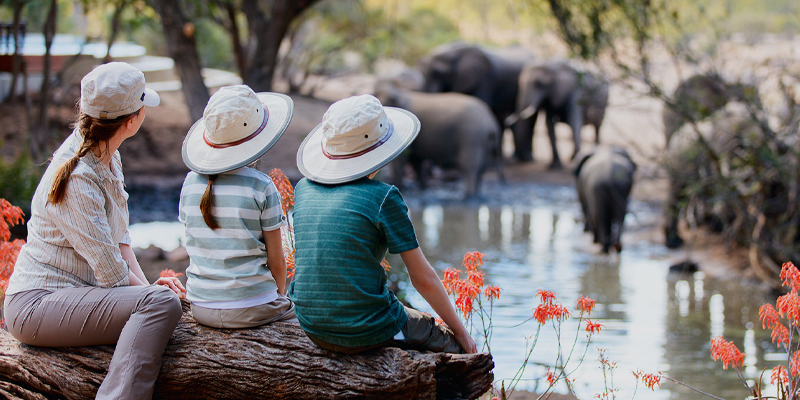 3 Days Tanzania Family Safari