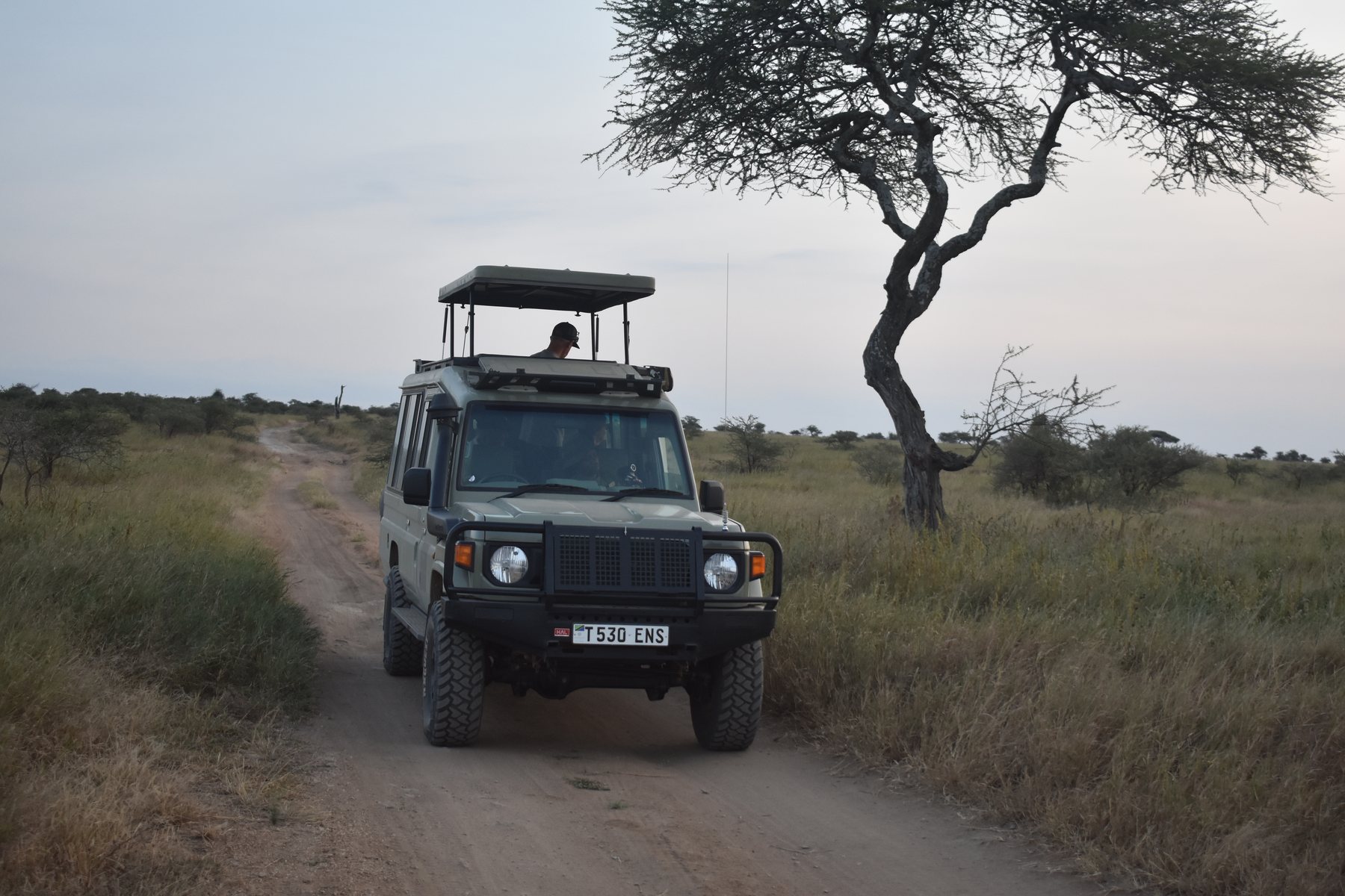 Open-roof safari vehicle on a track in Tanzania